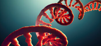 ssDNA image
