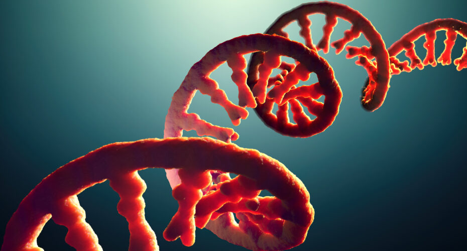 ssDNA image